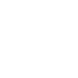 Dojo use Vue Media Ltd