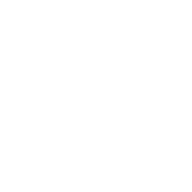 Wellingborough School use Vue Media Ltd